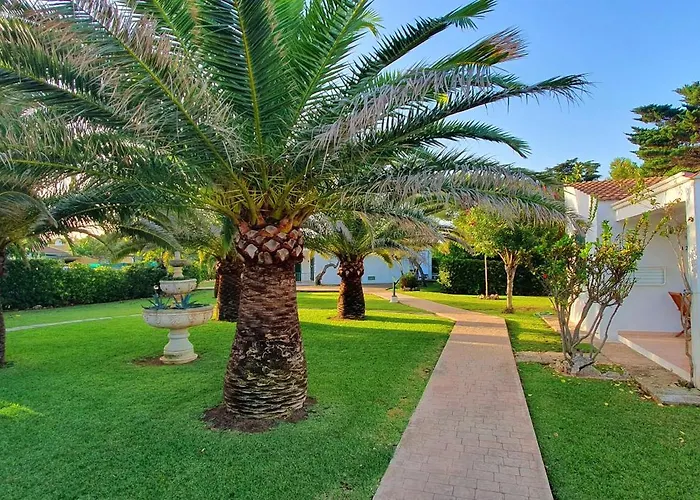 S'ermita - Golondrinas *